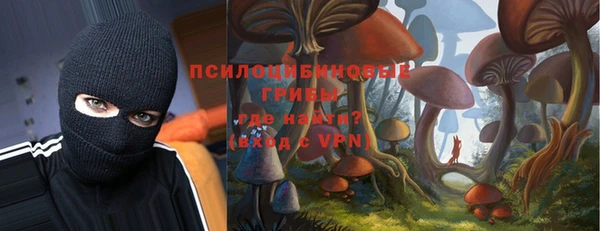 трава Козельск