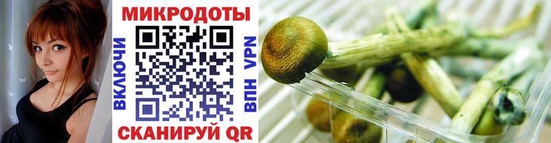 Псилоцибиновые грибы Magic Shrooms  даркнет сайт  сайты даркнета официальный сайт  Чишмы 
