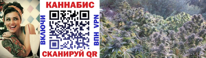 Шишки марихуана OG Kush  Чишмы 